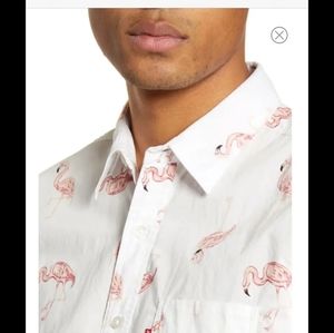 Levi's 100% Cotton Short Sleeve White & Pink Flamingo Print Buttondown Shirt S